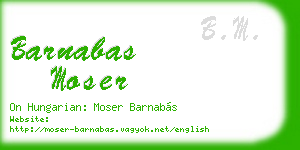 barnabas moser business card