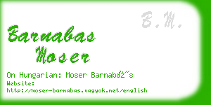 barnabas moser business card